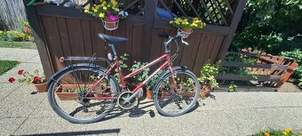 Predam damsky bicykel - 2