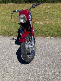 Jawa Bizon - 2