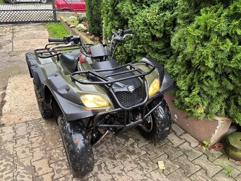 Suzuki ozark 250 2005 - 2