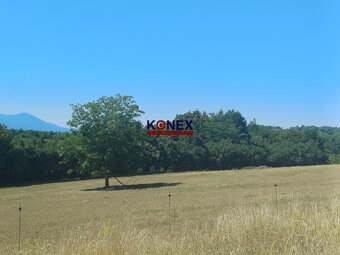 NA PREDAJ - Poľnohospodárske a lesné pozemky Vranov nad Topľ - 2