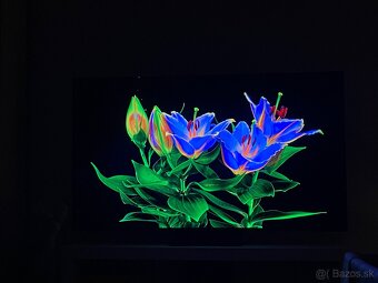 TCL C7K QD-MiniLED - 55 Zoll - 2