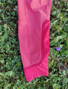 Červené rajtky - 2