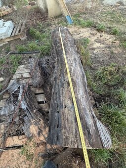 Čerešnove drevo - 2