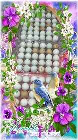 Prepeličie vajíčka - 2