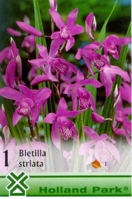Bletilla, Tricyrtis, Liatris, cyclamen, iris.... - 2