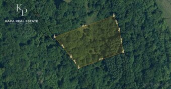 Pozemok na predaj, plocha 4607 m², Veľký Šariš - 2