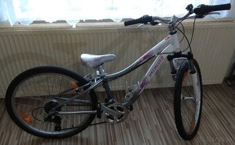 Specialized - 2