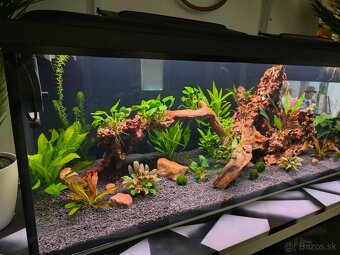 Akvarium predaj - vymena - 2
