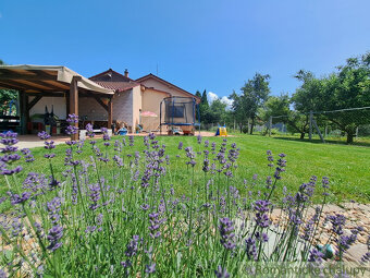 Pekný 3-izbový rodinný dom s veľkým pozemkom a garážou - 2