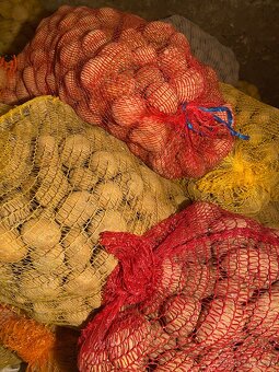 Predám domáce sadbové zemiaky - 2