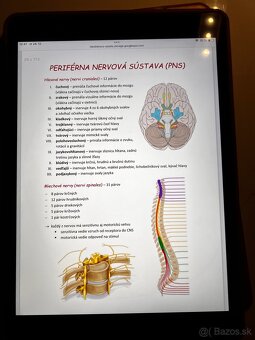 Maturita z biológie - 2