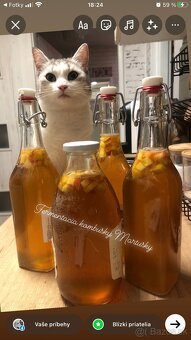 Kombucha - 2