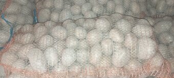 Zemiaky - 2