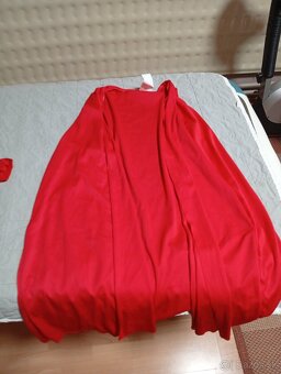 Karnevalový kostým - 2