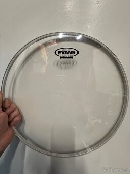 EVANS 14”genera reso - 2