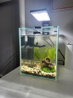 akvárium 10L - 2