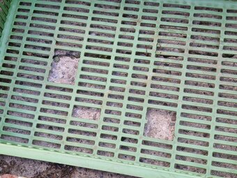 Prepravky na ovocie/zeleninu - POŠKODENÉ - 2