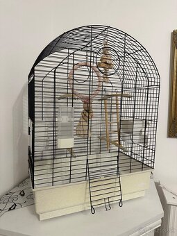 Klietka pre vtáky, papagáje - 2