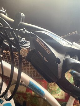 Bicykel olpran player L - 2