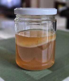 Kombucha, čínska huba, Scoby - 2