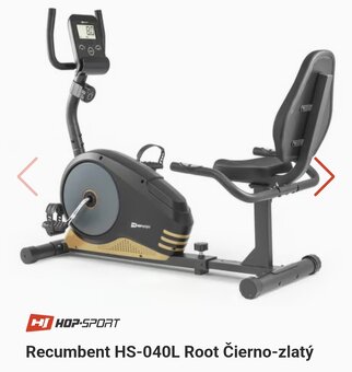 Recumbent - 2