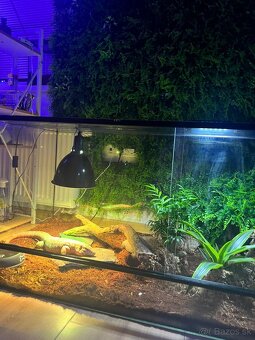 Terarium 160x60x60cm - 2