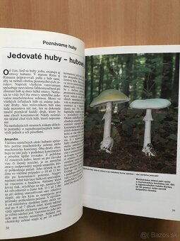 5 x literatura o hubach - 2