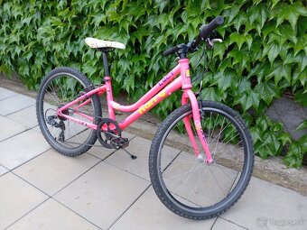 Detský bicykel Harry Lucy 24 - 2