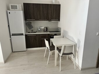 Prenajom 1-izbového bytu na Devinskej Nová Ves - 2
