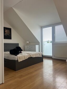 PETFRIENDLY 1-izbový byt so záhradkou (Biely Kostol) - 2