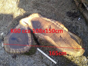 Predám orechové koláče - priečne rezy - 2