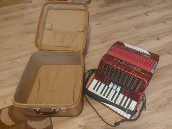 Harmonika Delicia Junior 4 - 2