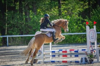 Kllisna hafling, Pony B - 2