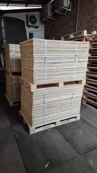 Preglejka - 2