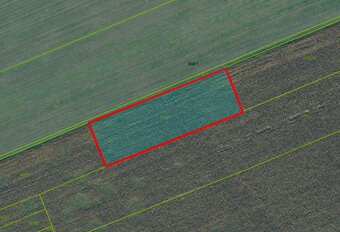 Košúty – 619 m2 ORNÁ PÔDA – Na predaj - 2