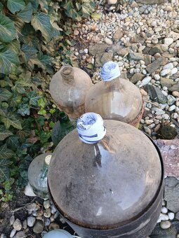 Demižony,lis na hrozno - 2