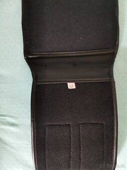 Ladvinovy pas IXS - 2
