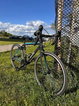 Predám cestný bicykel Frog Road 70 Team Sky edition - 2