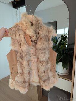 Kozusinova vesta - 2