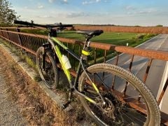 CTM Rambler 3.0 29" - 2