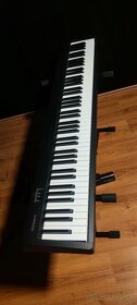 ROLAND FP-10 (STAGE PIANO) - 2
