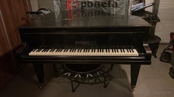 100rocne klavírne krídlo - 2