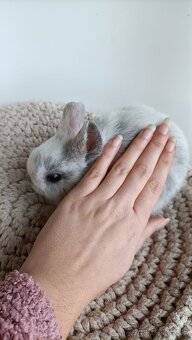 Zdrobnené kraliky - 2