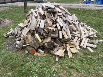 Palivové drevo - 2