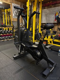 Rogue Echo bike - 2