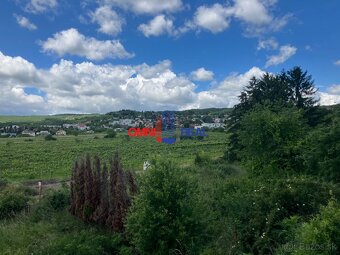 Záhrada v Rači na ulici Lisovňa, mestská voda, 600 m2 - 2