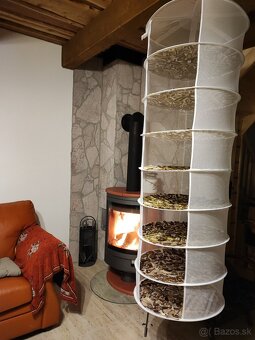 Sušené hríby - 2