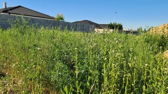 STAVEBNÝ POZEMOK v novovybudovanej lokalite. - 2