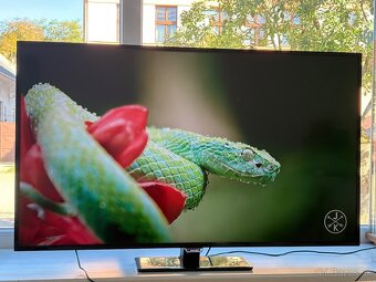 Philips 50PUT6400/12 UHD Smart 127cm Android - 2