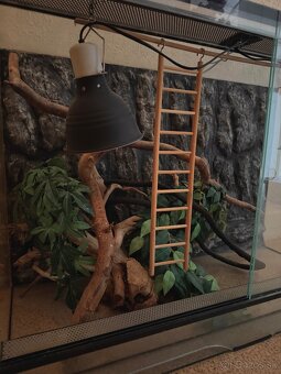 Kompletne vybavené terárium - 2